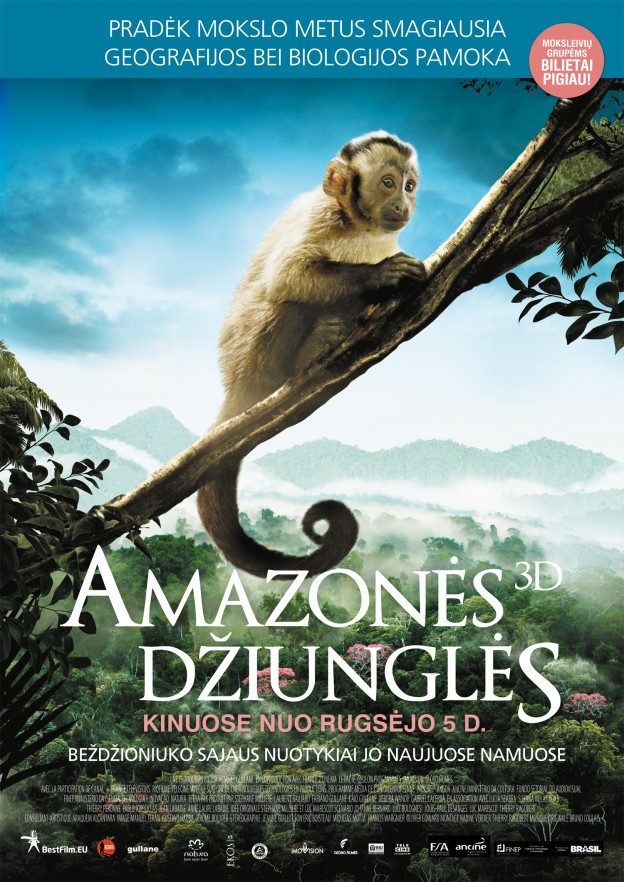 Amazones dziungles poster